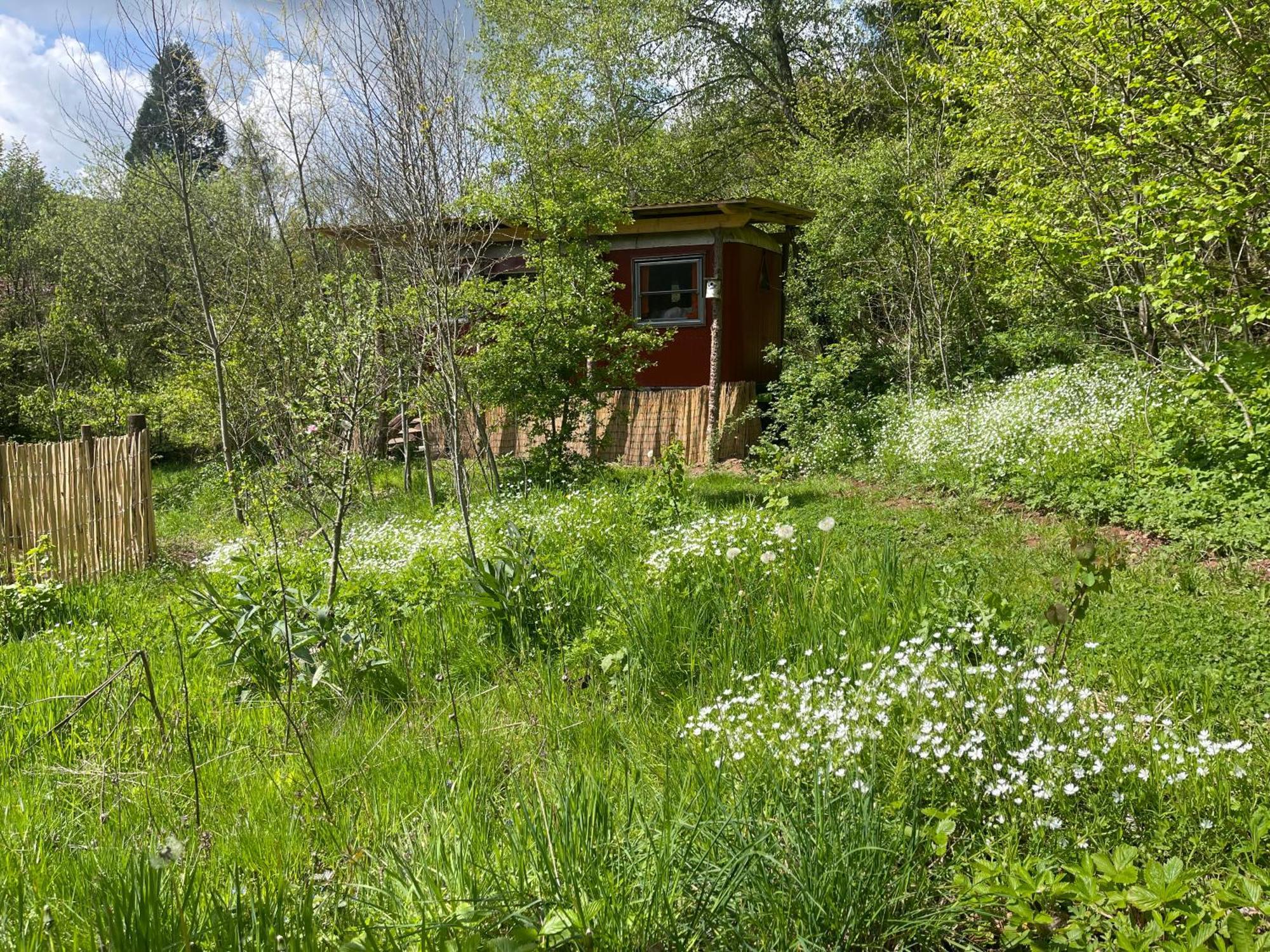 Kuscheliger Zirkuswagen Im Wildgarten Witzenhausen Dış mekan fotoğraf