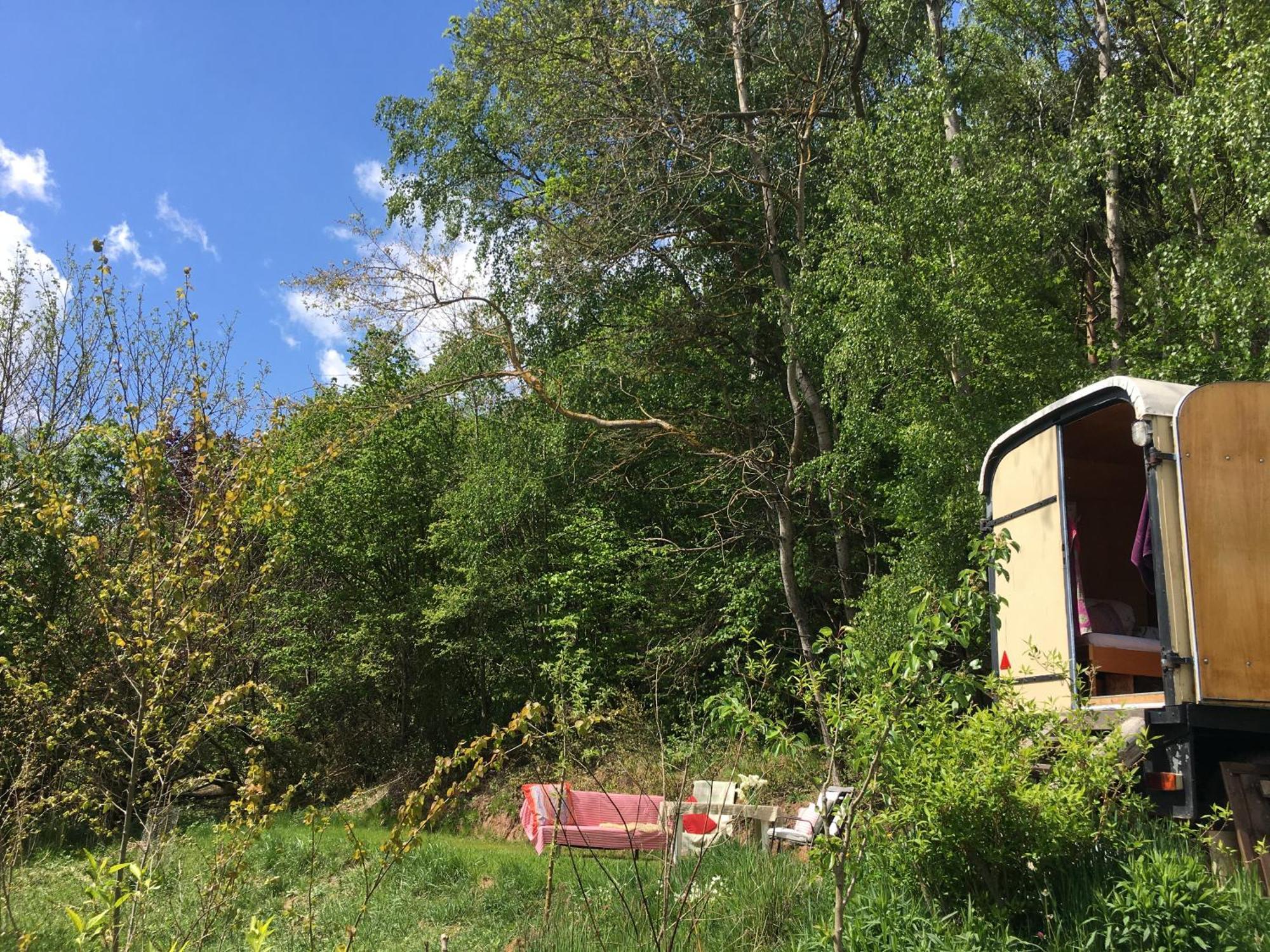 Kuscheliger Zirkuswagen Im Wildgarten Witzenhausen Dış mekan fotoğraf